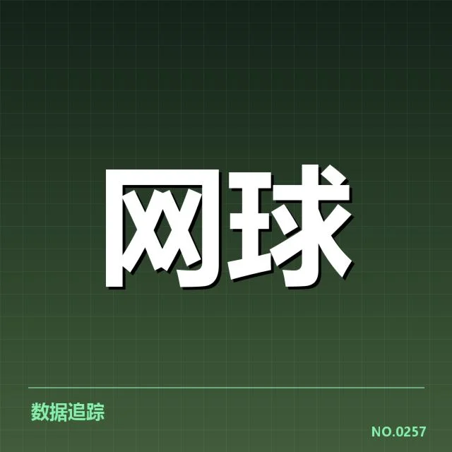网球亚运会冠军：顶尖选手实力究竟如何变数多